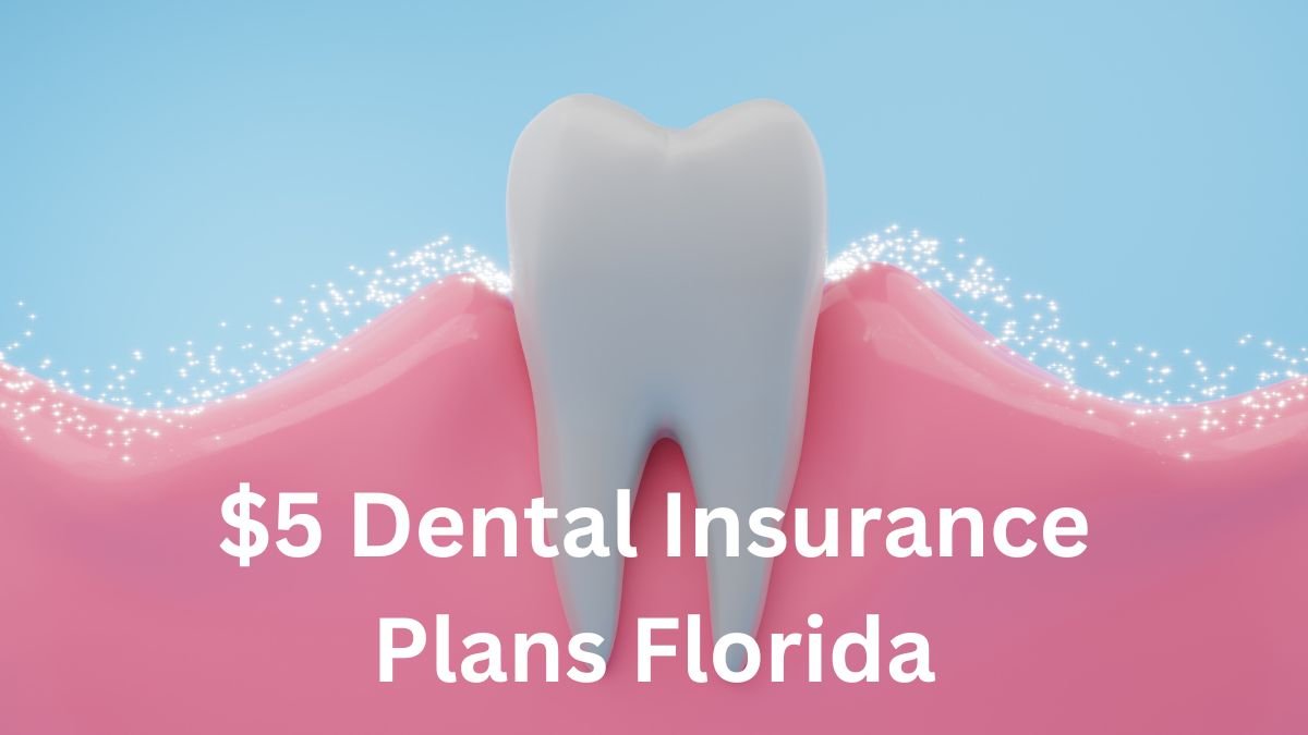 $5 Dental Insurance Plans Florida: Affordable Care for Your Smile